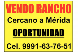 Bienes Inmuebles, Venta, VENDO RANCHO

Cercano a Mérida

OPORTUNIDAD
Cel. 9991-65-76-51

ID:3087463
