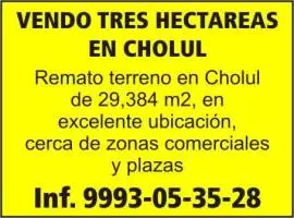 Terrenos, Venta, VENDO TRES HECTAREAS EN CHOLUL
Remato terreno en Cholul de 29,384 m2, en excelente ubicación
Cerca de Zonas comerciales y plazas

INFORMES AL 9993-05-35-28 