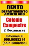 Casas, Renta, RENTO DEPARTAMENTO AMUEBLADO
COLONIA CAMPESTRE
-2 Recámaras

Informes al 999-9098214
(solo llamadas)